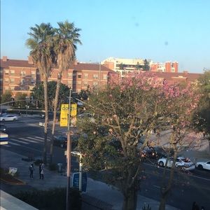 Meet your Posher, Daisy